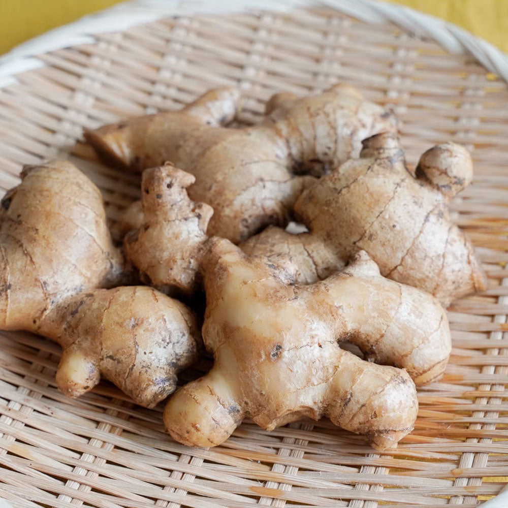 坂ノ途中 ジンジャーシロップ 300mL (1本または3本セット)