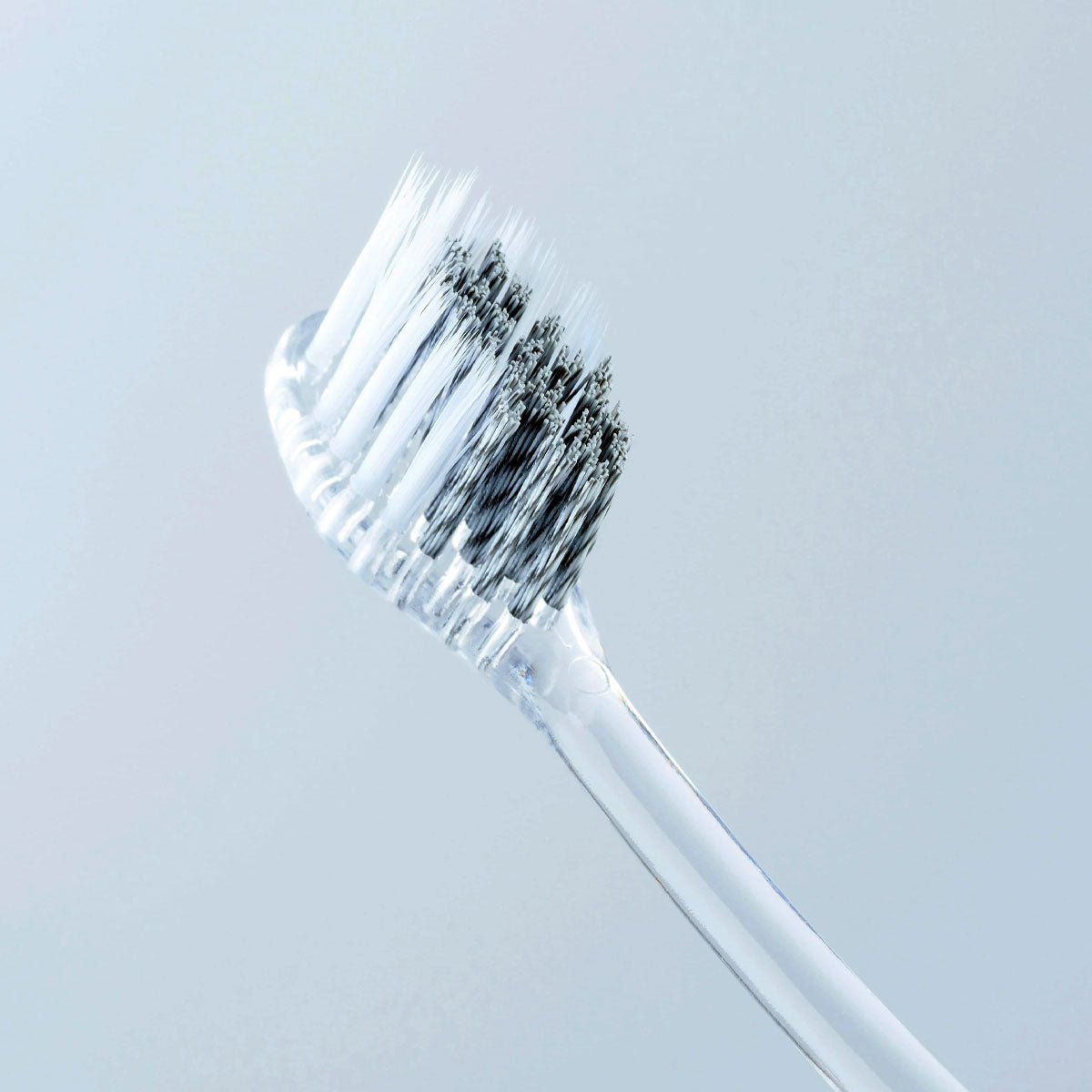 MOYÖ モヨウ TOOTHBRUSH 全6色 | 歯ブラシ クリアハンドル 歯科医師